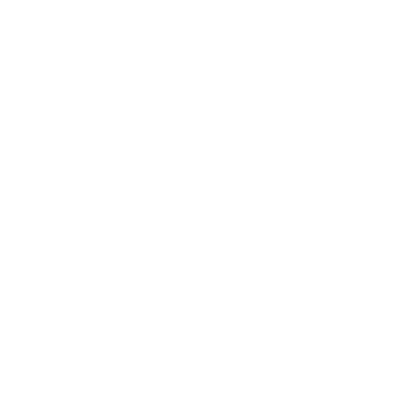 EE_Transitional Logo_White Icon icon